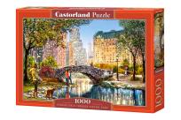 Opakowanie Puzzle 1000 Ewening Walk Central Park CASTOR