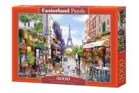 Opakowanie Puzzle 3000 Fowering Paris CASTOR
