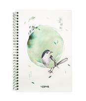 Opakowanie Kołonotes B5/68K Ptak