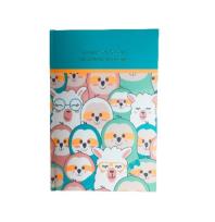 Opakowanie Notes A5 Leniwce i Lamy Tick Tock ROZETTE