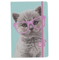 Opakowanie Notes Studio Pets PTF-3652 PASO