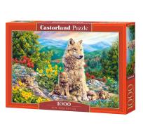 Opakowanie Puzzle 1000 New Generation CASTOR