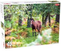 Opakowanie Puzzle 1000 Wild Horses, New Forest
