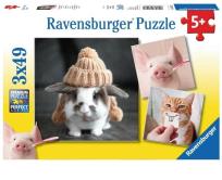 Opakowanie Puzzle 3x49 Śmieszne portrety zwierząt