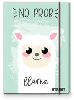 Opakowanie Teczka A4 z gumką Pink Street