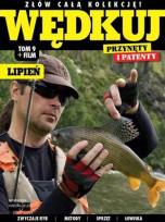 Opakowanie Wędkuj. Przynęty i patenty. Tom 9 + film. Lipień
