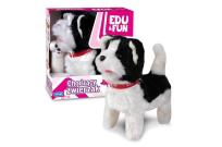 Opakowanie Chodzący biało-czarny Piesek Edu&Fun