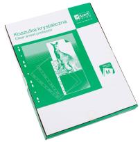 Opakowanie Koszulka A4 w kartonie 55mic 100szt D.RECT