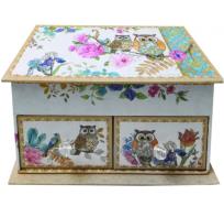 Okładka książki Pojemnik na biżuterię Owl