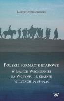 Okładka książki Polskie fomacje etapowe w Galicji Wschodniej na Wołyniu i Ukrainie w latach 1918-1920