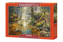 Opakowanie Puzzle 2000 Wspomnienie z jesiennego lasu CASTOR