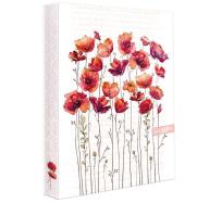 Opakowanie Segregator A4 Save the bees ARGUS