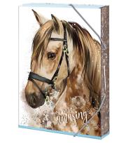 Opakowanie Teczka szkolna A4 You are amazing ARGUS