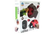 Opakowanie Biedronka zdalnie sterowana duża