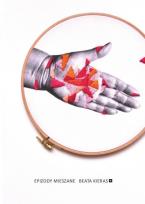 Okładka książki Epizody Mieszane