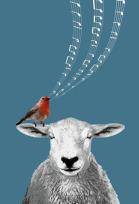 Opakowanie Notes GEE The Song About Meee NARCISSUS