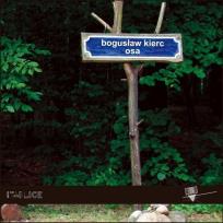 Okładka książki Osa /Forma