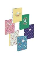 Opakowanie Segregator A4/2R Lusa AMBAR