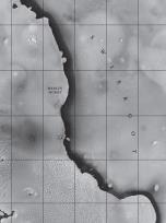 Okładka książki Świergot