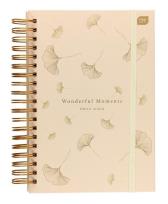 Opakowanie Album na zdjęcia z gumką B5/25K Cream