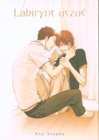 Okładka książki Labirynt Uczuć