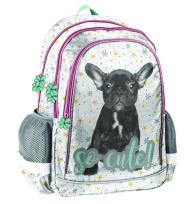 Opakowanie Plecak szkolny Buldog PP20BU-081 PASO