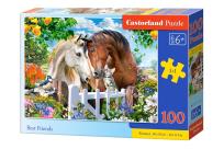 Opakowanie Puzzle 100 Best Friends CASTOR