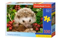 Opakowanie Puzzle 100 Hedgehog with Berries CASTOR