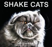 Okładka książki Shake Cats by Carli Davidson -