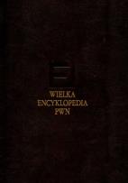Opakowanie Wielka encyklopedia PWN t.31 Suplement