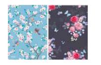 Opakowanie Brulion A6/96K kratka Ladylike (5szt)