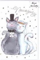 Opakowanie Karnet B6 z kieszonką - Koty