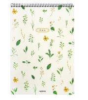 Opakowanie Kołoszkicownik A3/40K zioła zółte kwiatki