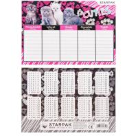 Opakowanie Plan lekcji Cuties kotki (25szt)