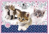 Opakowanie Podkład oklejany Cleo i Frank 22 DERFORM