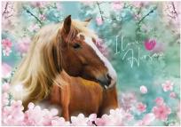 Opakowanie Podkład oklejany Księżniczki 11 DERFORM