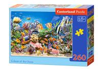 Okładka książki Puzzle 260 Kolory oceanu CASTOR