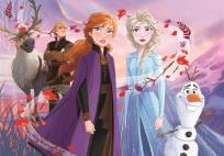 Opakowanie Puzzle ramkowe 15 Super kolor Frozen 2
