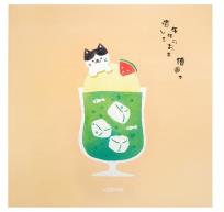 Opakowanie Szkicownik 21x21cm 80K Kot