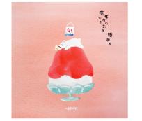 Opakowanie Szkicownik 21x21cm 80K Miś polarny