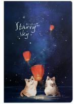 Opakowanie Szkicownik B5/100K Koty i lampiony