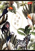 Opakowanie Zeszyt A5 w kratkę 60 kartek Nature 10 sztuk