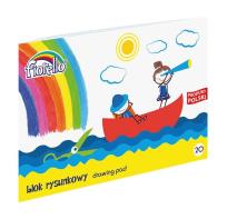 Opakowanie Blok rysunkowy Fiorello A4 20 kartek