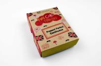 Okładka książki Fun Card English Present Perfect Continuous