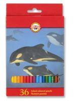 Opakowanie Kredki 3555 Zwierzęta 36 kolorów