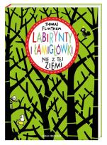 Okładka książki Labirynty i łamigłówki nie z tej ziemi