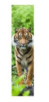 Zdjęcie produktu Mapcards BENGAL TIGER ZAKŁADKA
