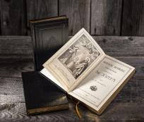 Okładka książki Miesiąc marzec z przykładami poświęcony czci św. Józefa