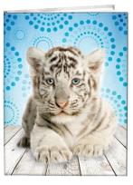 Opakowanie Notes gładki 13x18cm Tygrys