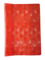 Opakowanie Okładka na zeszyt A5 PCV Hologram czerw. (10szt)